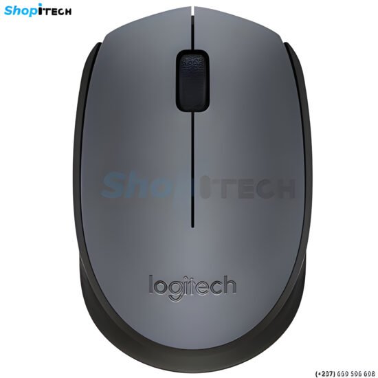 Souris USB Wireless Logitech M170