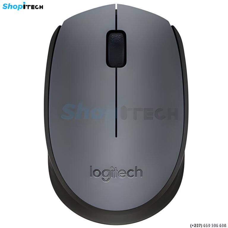 Souris USB Wireless Logitech M170
