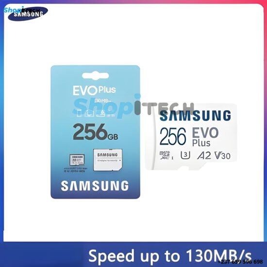 Carte Mémoire SAMSUNG EVO Plus 256 GO