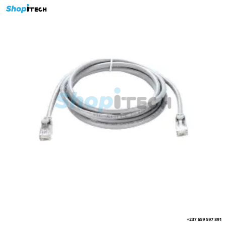 Câble Patchcord RJ45 CAT6 Ethernet Haute Vitesse