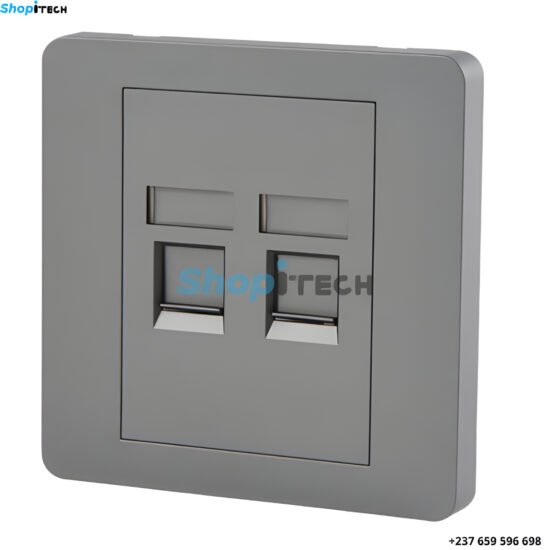 Prise murale Cat5e et CAT6 2ports RJ45 pour système de réseau Ethernet couleur gris